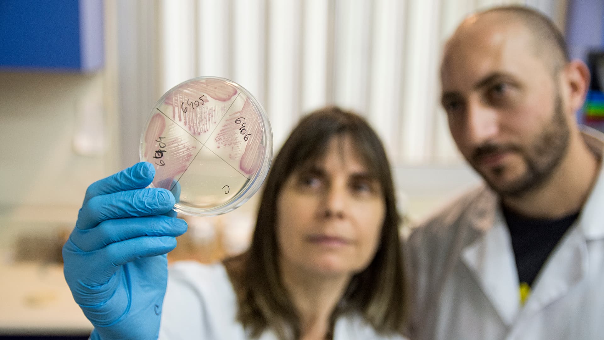 Detectan bacterias multirresistentes a los antibióticos en el río Suquía y en el ambiente de Córdoba