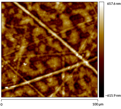 Imagen del polipropileno tratado (arriba), obtenida mediante microscopía de fuerza atómica.