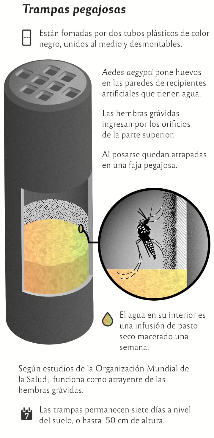 Trampa pegajosa para Aedes aegypti hembras grávidas que van a depositar sus huevos en un recipiente con agua.
