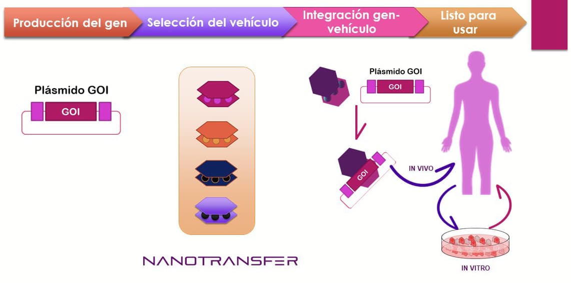 Cómo funciona Nanotransfer