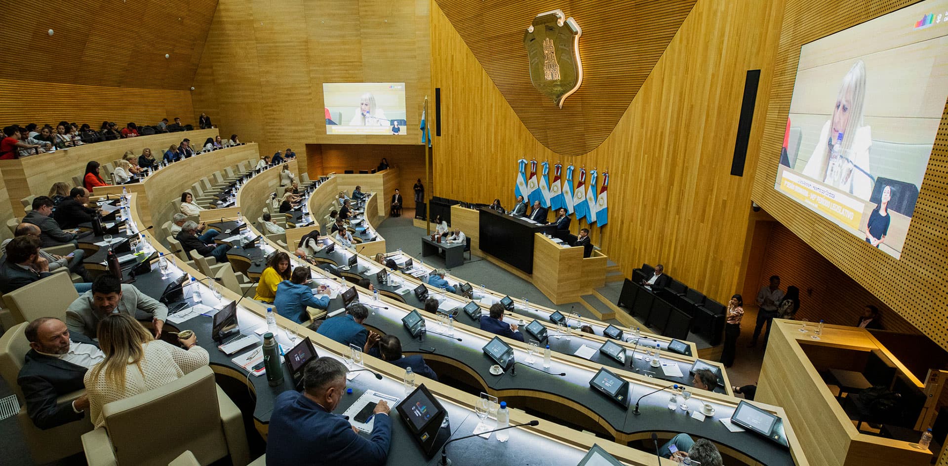 UNCiencia-representacion-de-mujeres-en-la-legislatura-02-1920