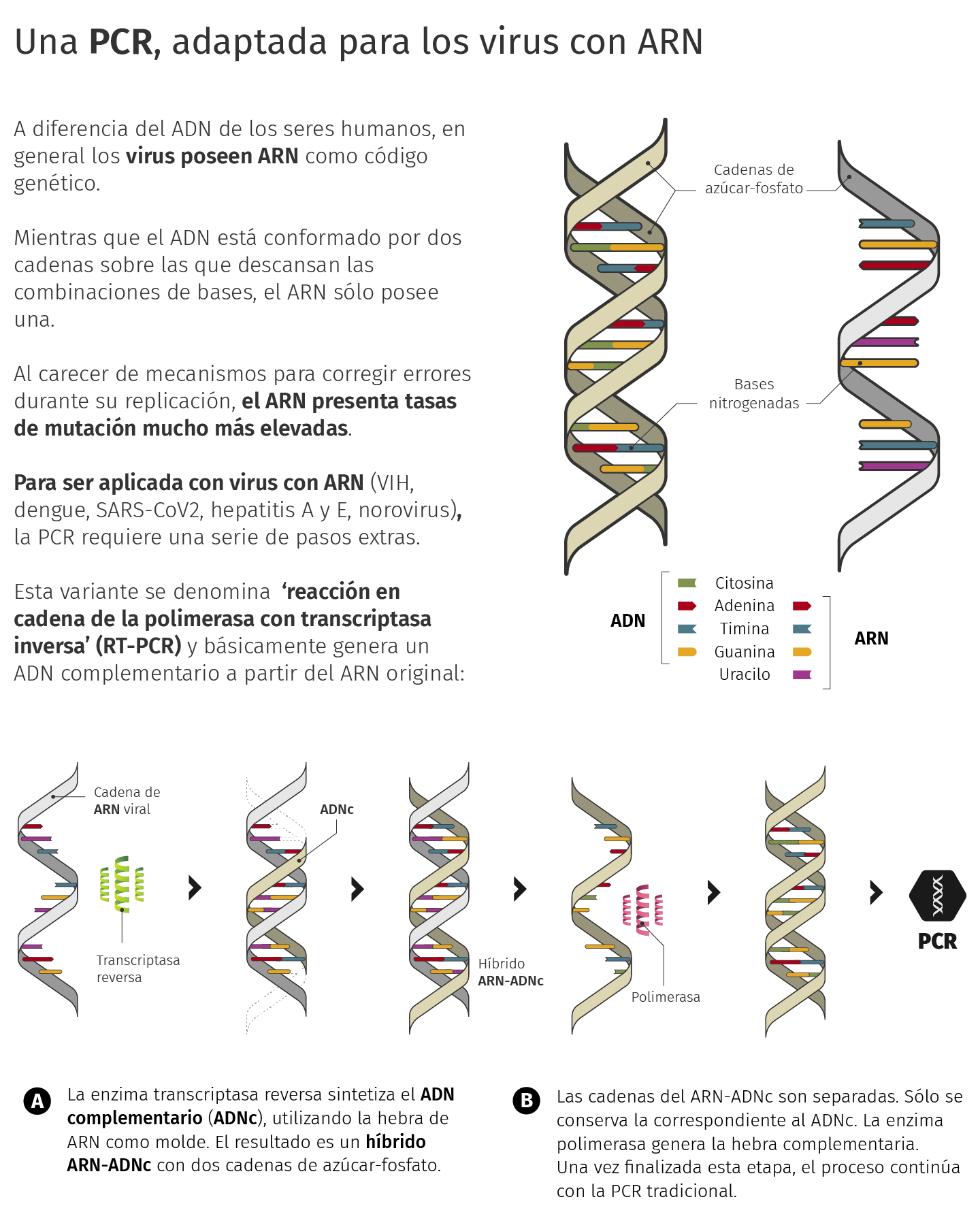 Imagen | Una PCR adaptada para los virus