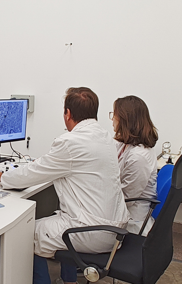 Descubren un nuevo blanco terapéutico para frenar el crecimiento de tumores intracraneales