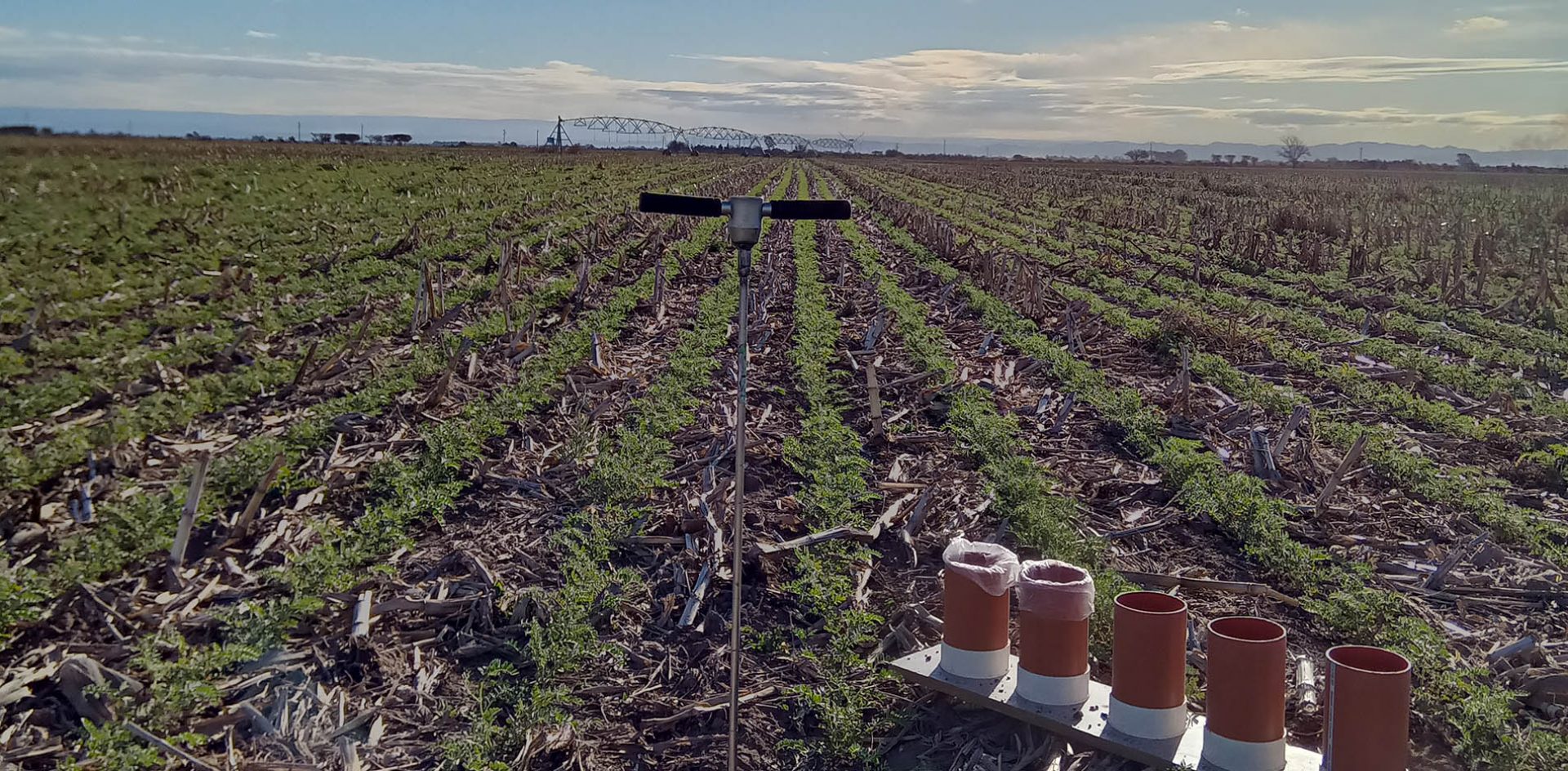 Optimizan el riego agrícola combinando IA, datos satelitales, meteorológicos y de los cultivos